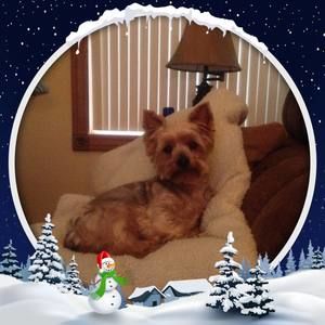 Meet your Posher, Kathy